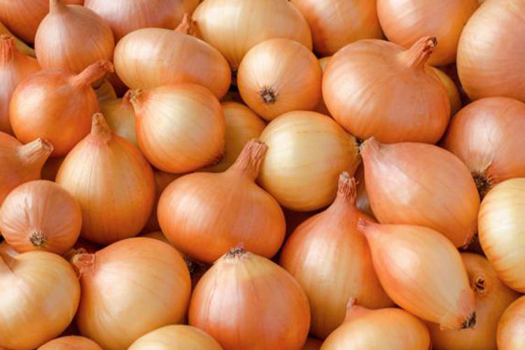 Onions imported from Kazakhstan found unfit for consumption