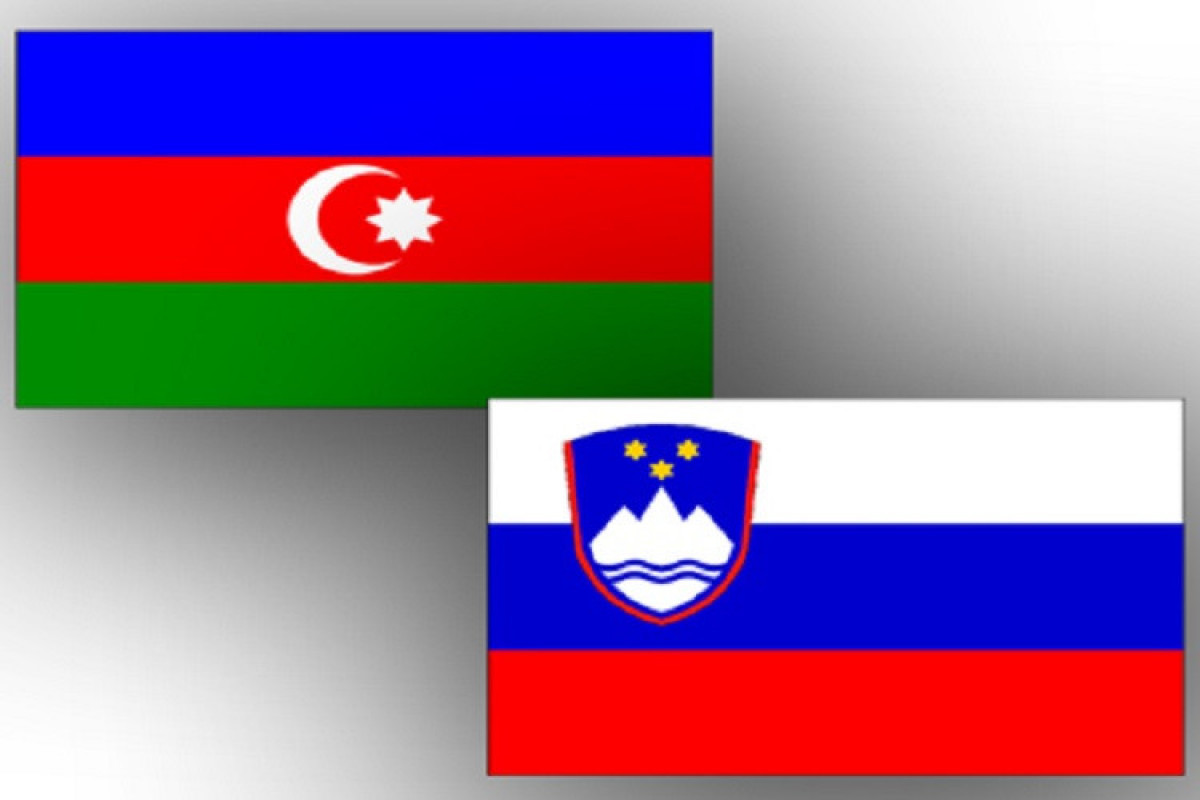 МИД Азербайджана и Словении провели политические консультации