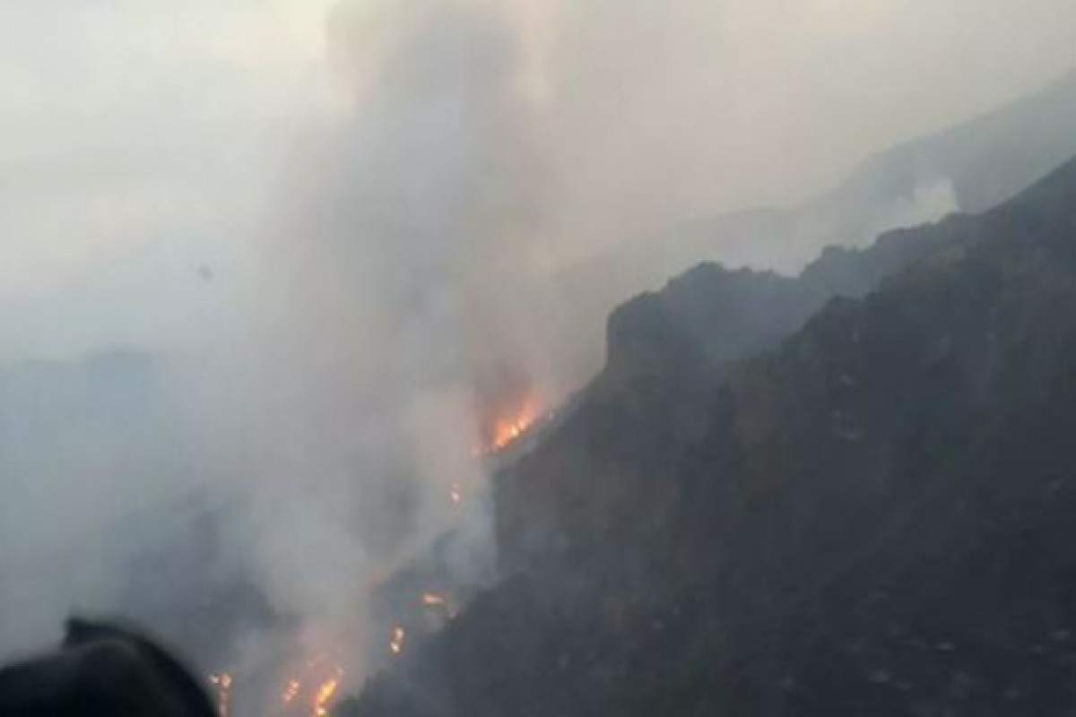 В Армении вспыхнул пожар в заповеднике