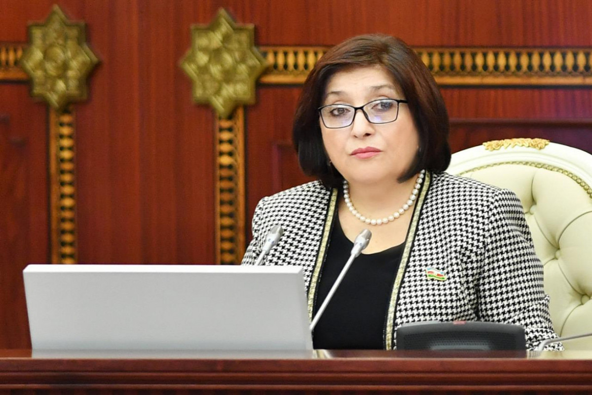 Speaker: “Armenia demonstrates non-constructive position also on the issue of delimitation of borders”