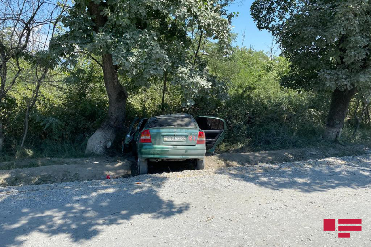 Şəkidə avtomobil ağaca çırpılıb, xəsarət alan var - FOTO 