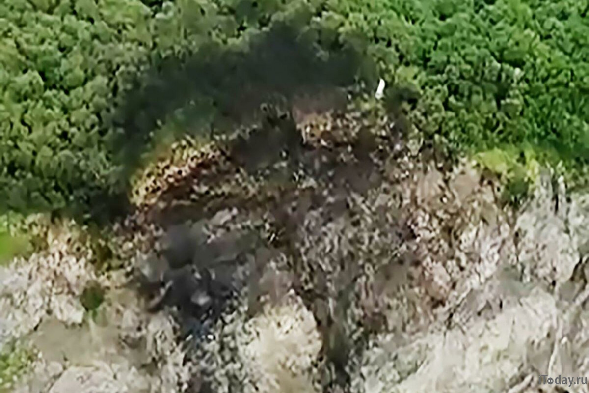На месте крушения Ан-26 на Камчатке обнаружены тела 19 человек-ОБНОВЛЕНО 