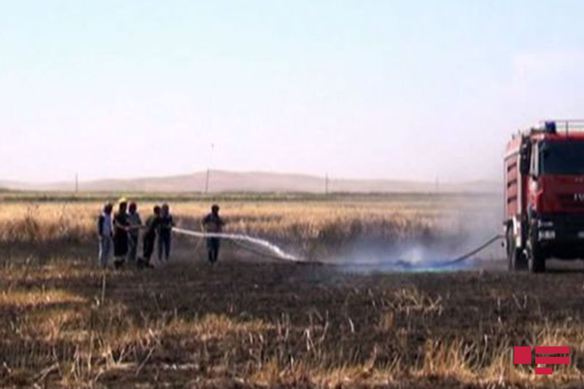 МЧС распространило информацию о пожаре на приграничной полосе в Газахе