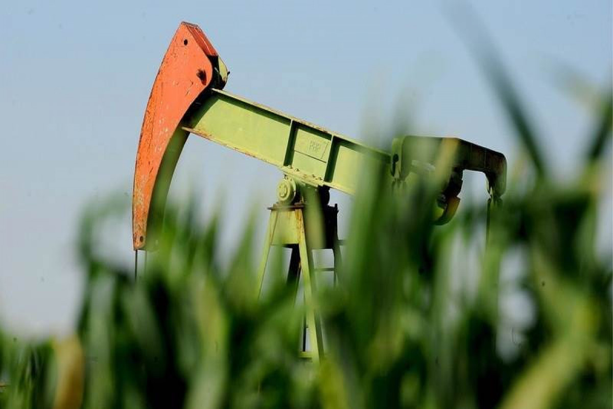 Oil prices decline amid recovery concerns