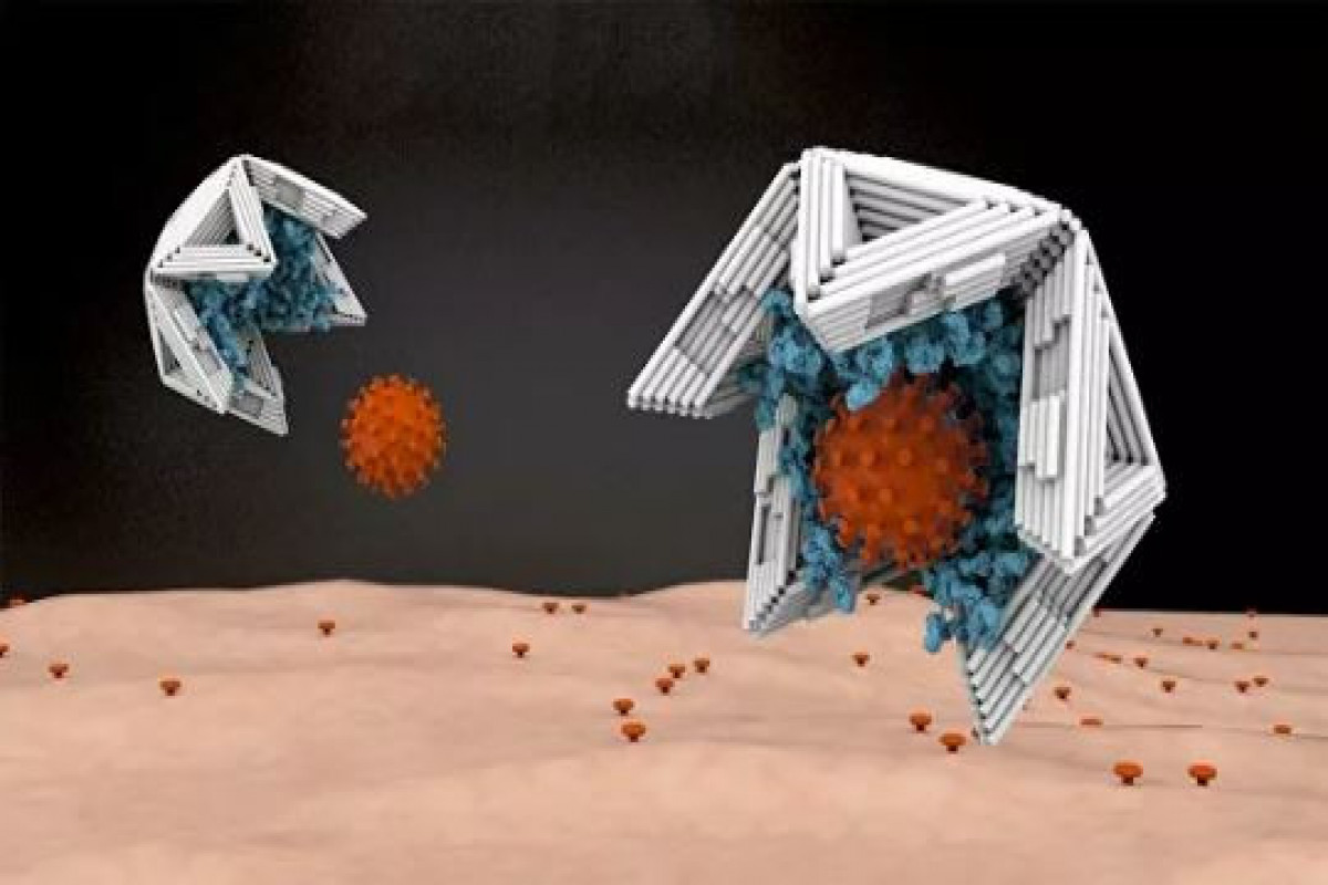 Alimlər virusları tələyə sala biləcək nanokapsulalar hazırlayıb