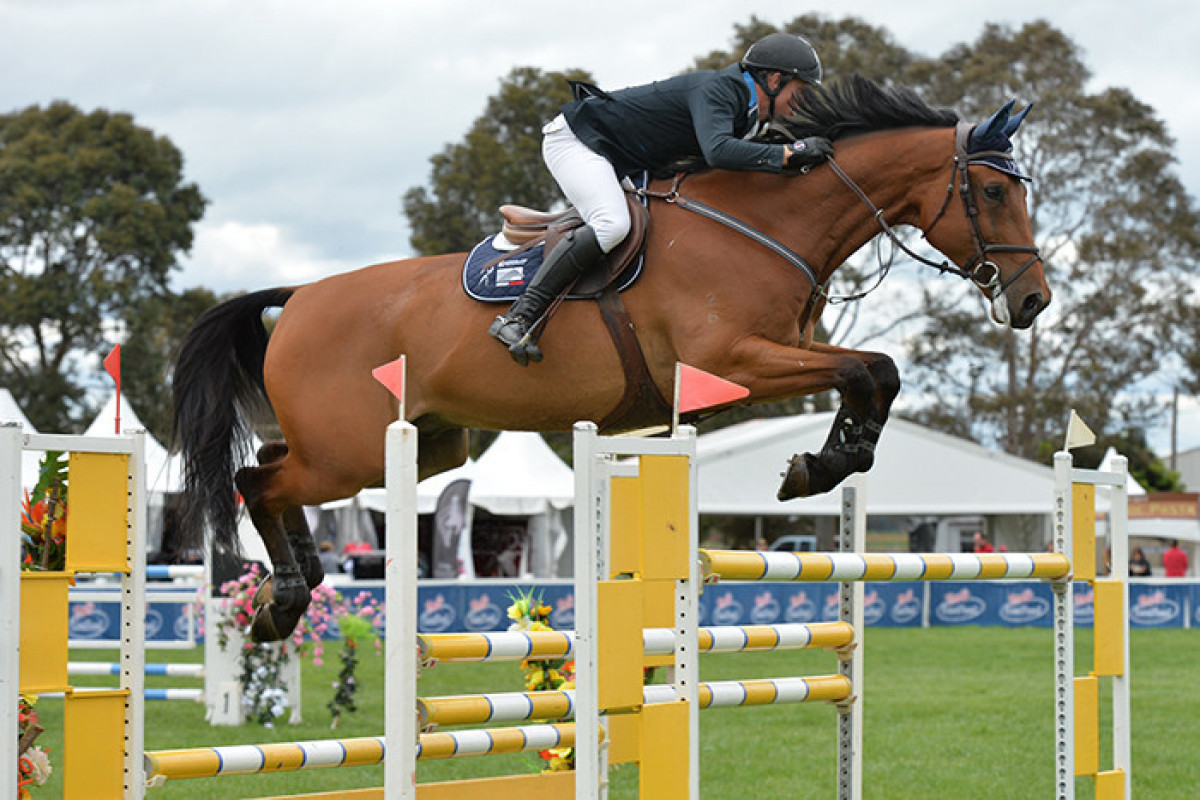 Tokyo-2020:  Australian Olympic showjumper suspended after testing positive for cocaine