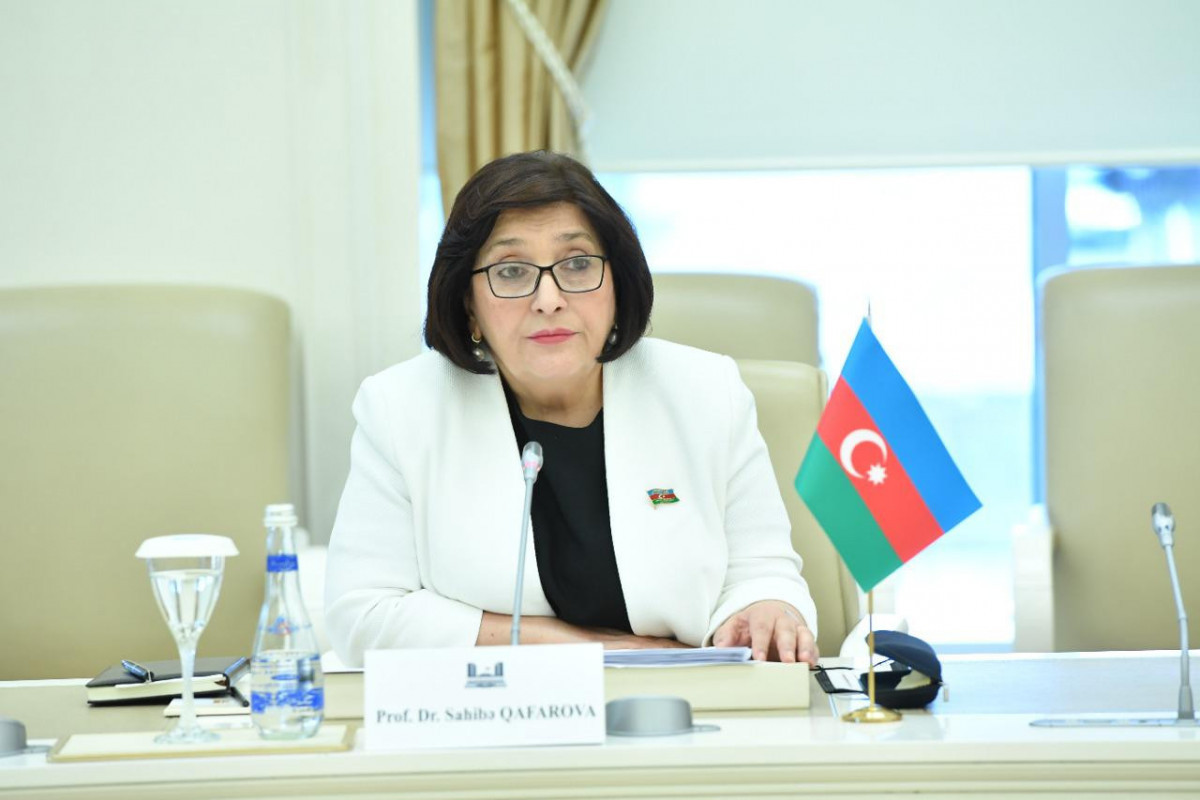 Speaker of Azerbaijani Parliament meets with delegation of French National Assembly