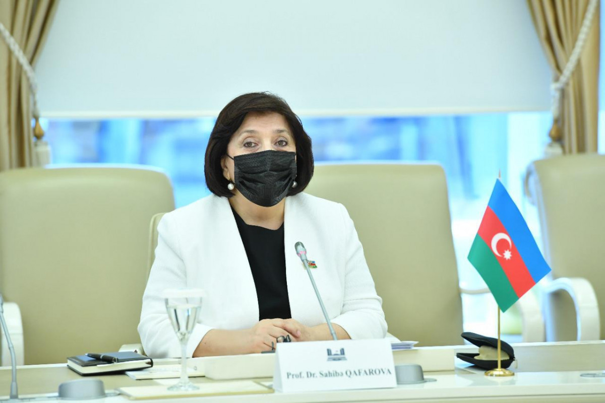 Speaker of Azerbaijani Parliament meets with delegation of French National Assembly