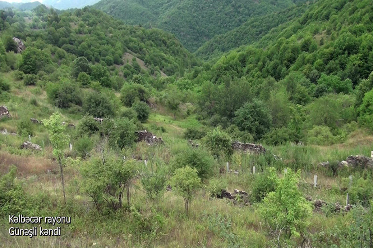 Gunashli village of the Kalbajar region