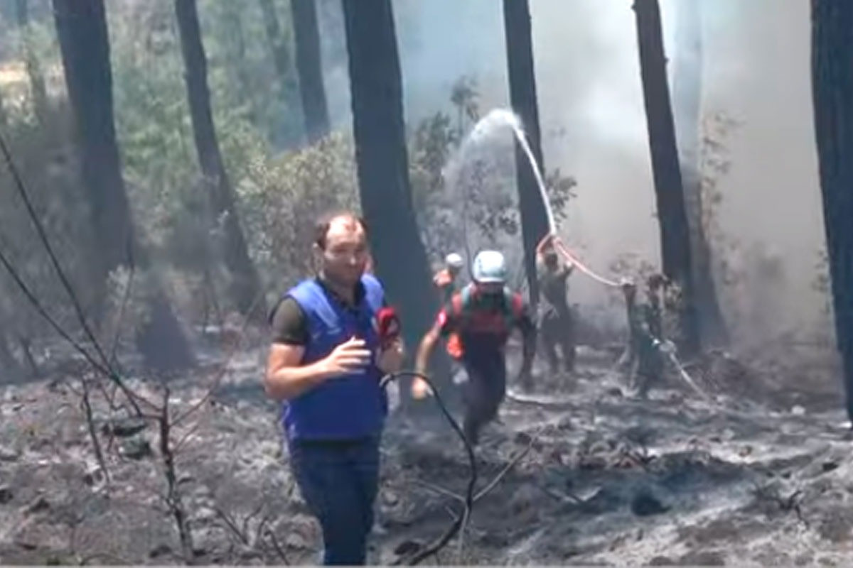 Азербайджанские пожарные плечом к плечу с турецкими пожарными борются с пожарами
