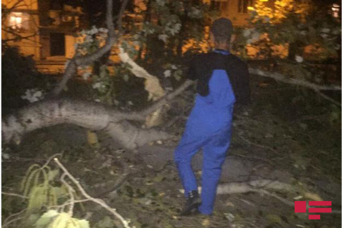 Ветер в Мингячевире привел к последствиям в городе-ФОТО 