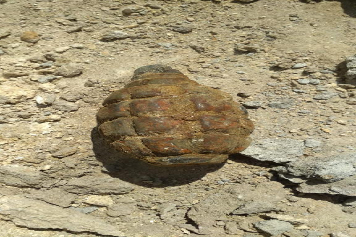 В Сабунчинском районе обнаружена ручная граната-ВИДЕО 