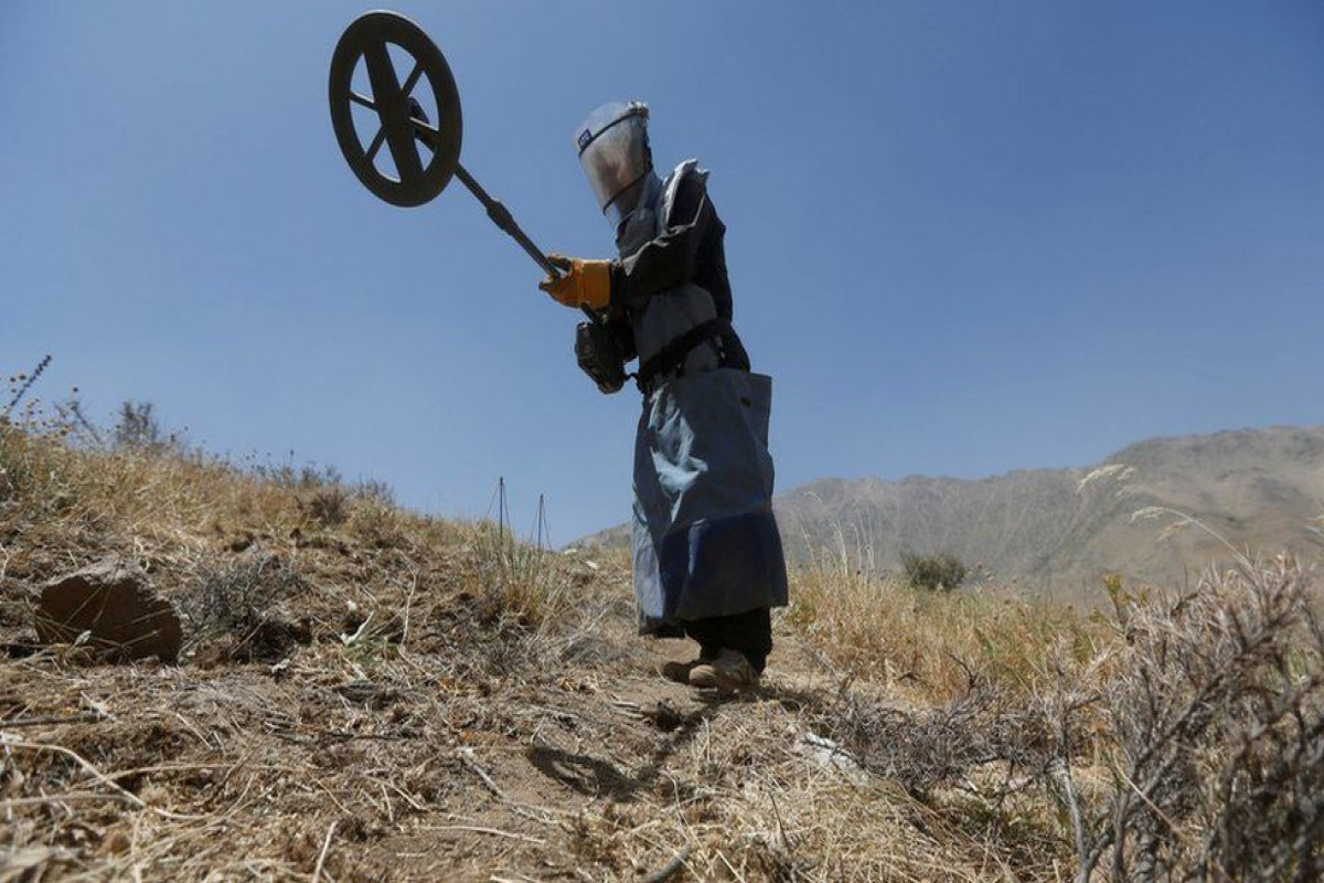 Mine clearance workers shot dead in Afghanistan