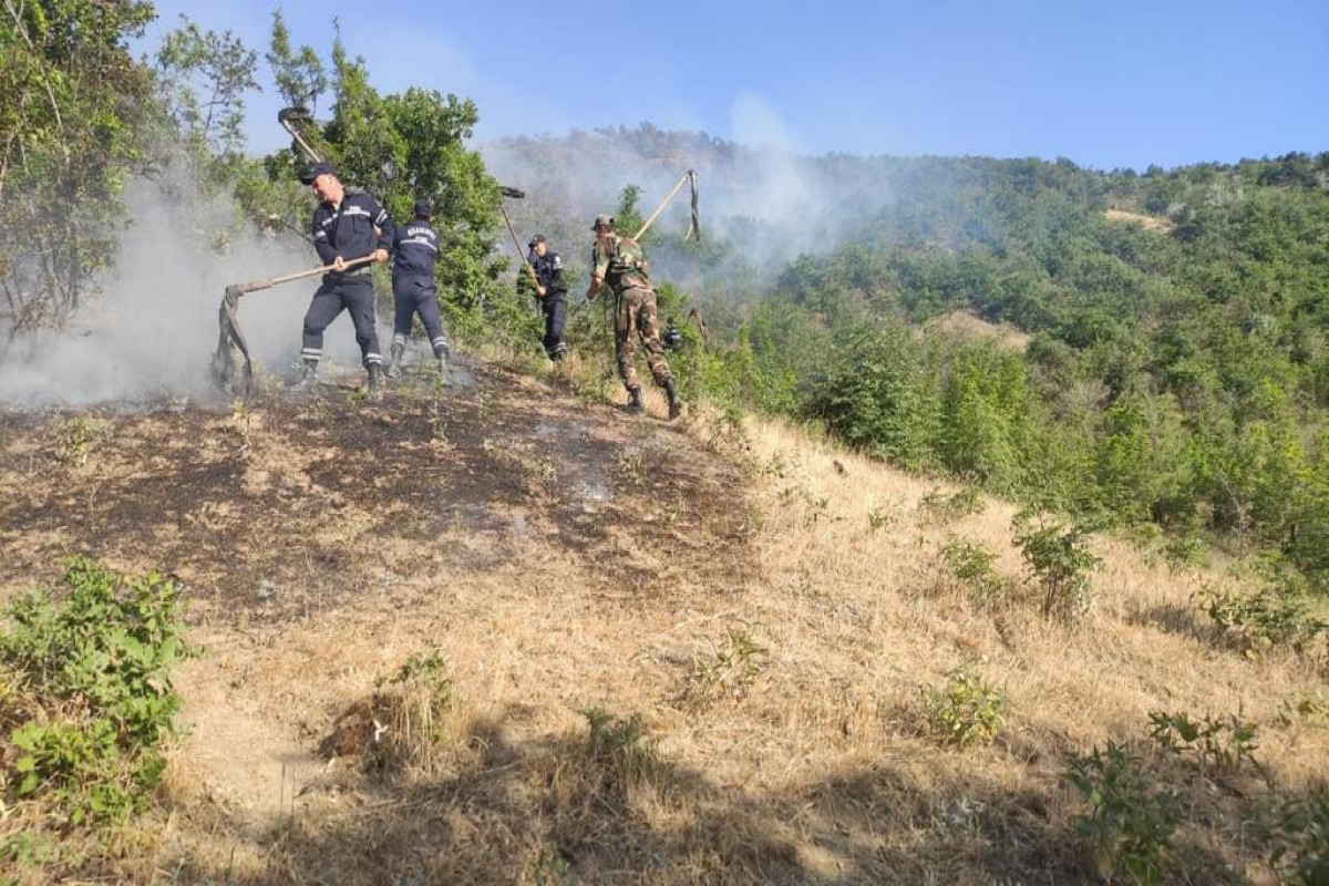 МЧС: Оперативно потушены пожары в ряде городов и районов Азербайджана-ВИДЕО -ФОТО -ОБНОВЛЕНО 