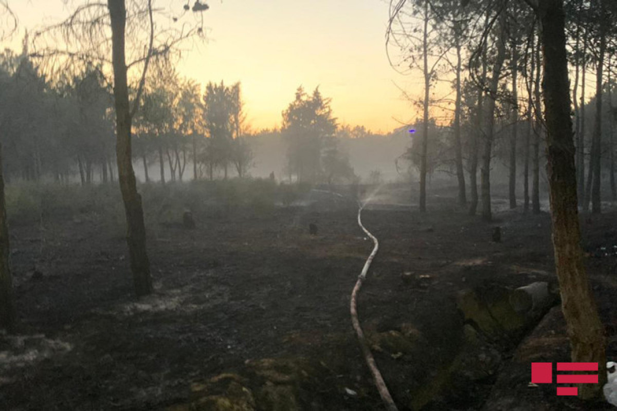 Пожар в лесистой территории в Бинагади потушен – ФОТО  -ВИДЕО -ОБНОВЛЕНО 