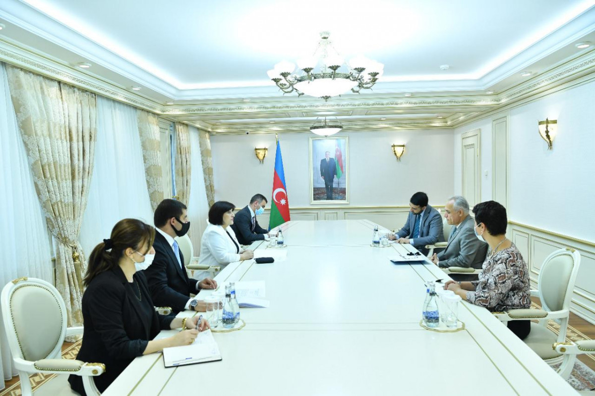 Milli Məclisin Sədri Sahibə Qafarova, BMT-nin Azərbaycandakı rezident əlaqələndiricisi Qulam İsakzai ilə görüş