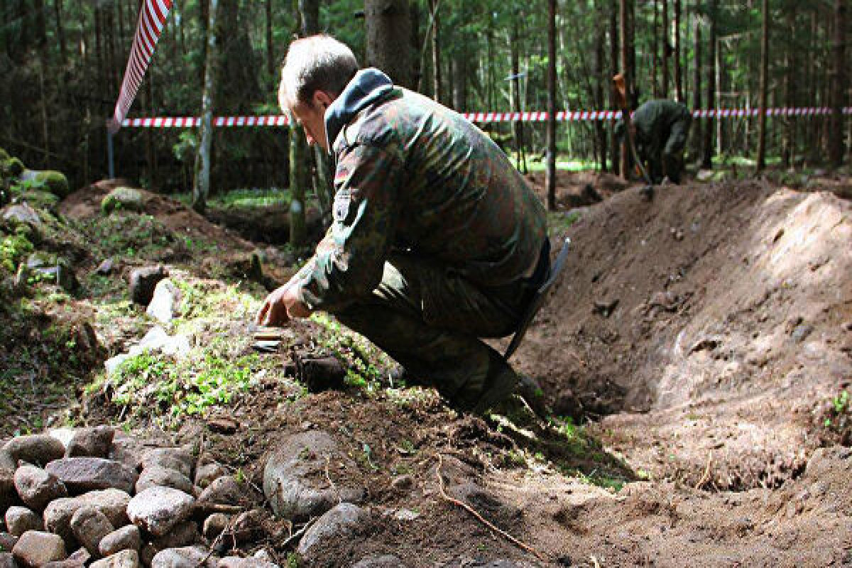 В Ленинградской области РФ нашли останки 80 человек времен ВОВ