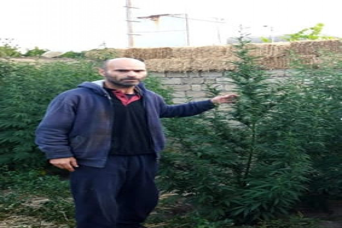 У жителя Сабирабада обнаружили 24 кг наркотиков-ФОТО 