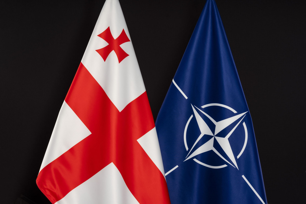 NATO Secretary General to meet with Georgia’s Defence Minister 