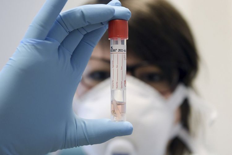 Georgia records 10 coronavirus- related death over past day