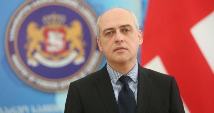 Глава МИД Грузии находится с визитом в Турции