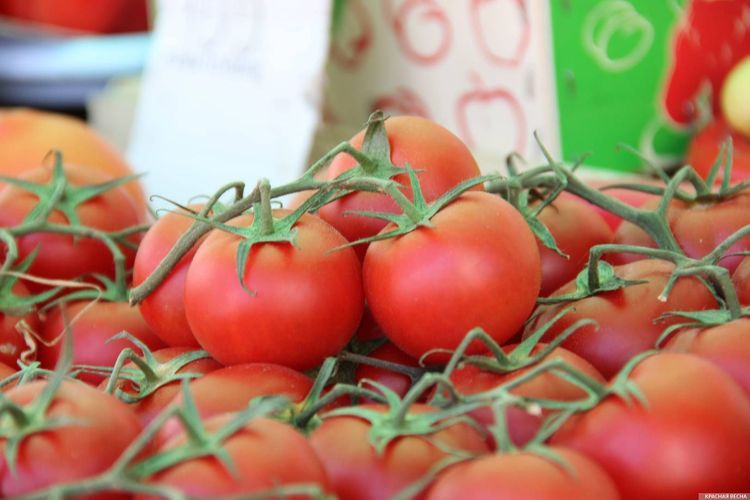 Россия снимает ограничение на импорт яблок и помидоров из Азербайджана