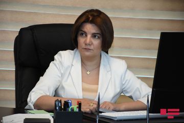 “Vətən Müharibəsi və postmüharibə dövründə KİV və beyin mərkəzlərinin rolu: qarşıdakı hədəflər” mövzusunda tədbir keçirilib - VİDEO