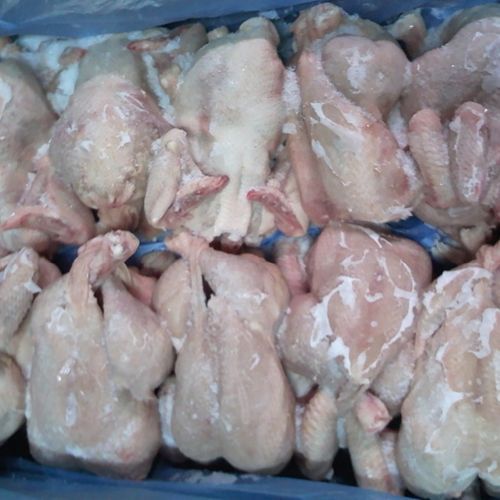 Salmonella found in frozen chicken meat imported from Belarus 