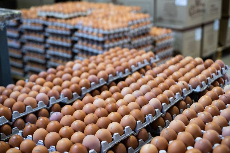 В Азербайджане снизилось производство яиц