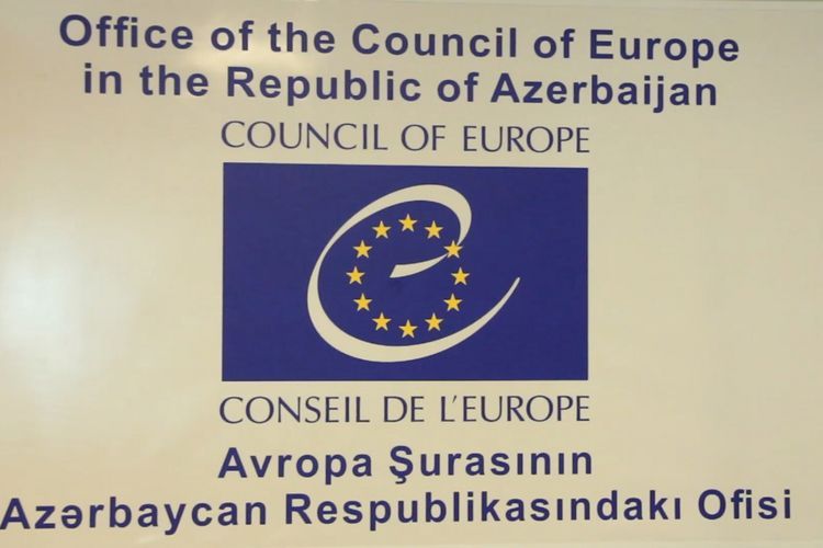 The European Union and Council of Europe are organising a series of online webinar sessions on specific articles of the Istanbul Convention  - VIDEO