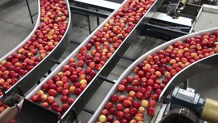 В Балакяне создается новый завод по переработке фруктов