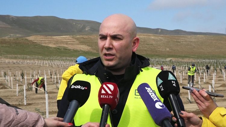 Vüsal Kərimli: "Gələn ildən Bakıya dizellə işləyən avtobuslar gətirilməyəcək"
