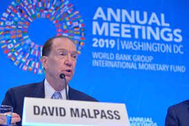 G20, G7 should push private creditors to join debt relief efforts: Malpass
