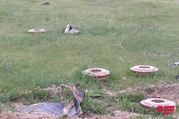 ANAMA-nın əməkdaşı: “Ermənilər çoxlu sayda tələ mina basdırıblar” 