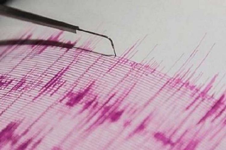 Magnitude 5.0 earthquake registered near Kamchatka coast