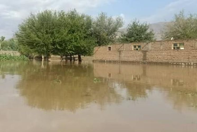 16 dead in floods in Afghanistan
