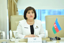 Sahibə Qafarova, Milli Məclisin Sədri