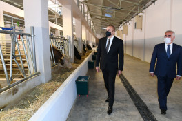 Prezident İlham Əliyev Süni Mayalanma Mərkəzinin açılışında iştirak edib