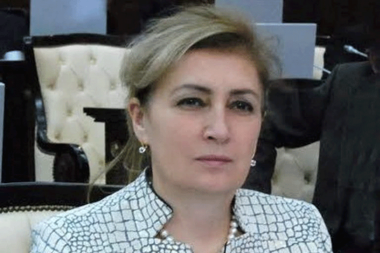 Məlahət İbrahimqızı, Milli Məclisin deputatı