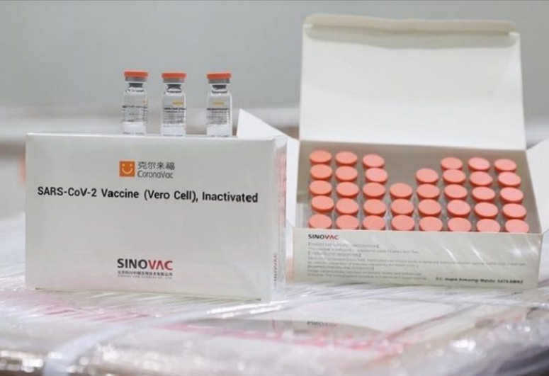 Georgia rolls out Sinovac vaccine against coronavirus