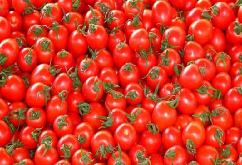 Россия разрешила ввоз помидоров еще 30 предприятиям Азербайджана