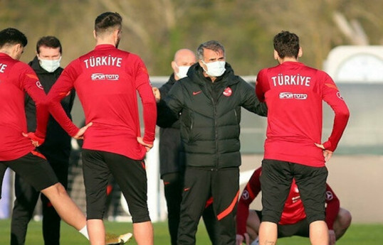 Türkiyə millisi
