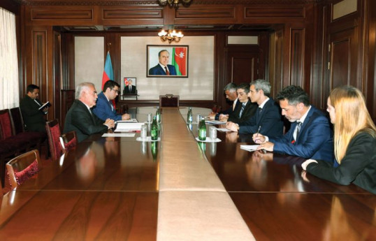 Vasif Talıbov Fransa səfirini qəbul edib