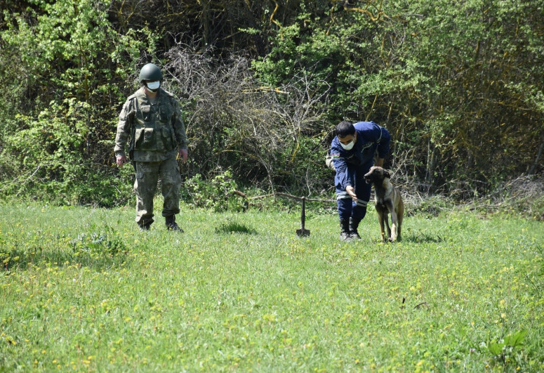 Turkish Defense Ministry presents mine detection dogs to the Azerbaijan's MES-PHOTO -VIDEO 