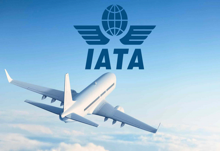 IATA calls for thorough probe into Ryanair plane incident in Minsk