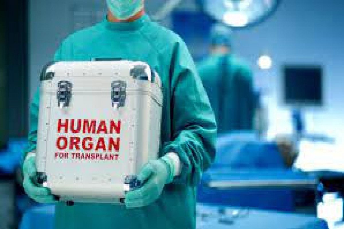 203 transplantation operations conducted in Azerbaijan last year