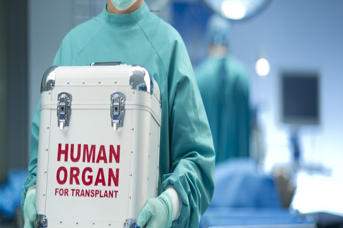 В прошлом году в Азербайджане было проведено 203 операции по трансплантации органов