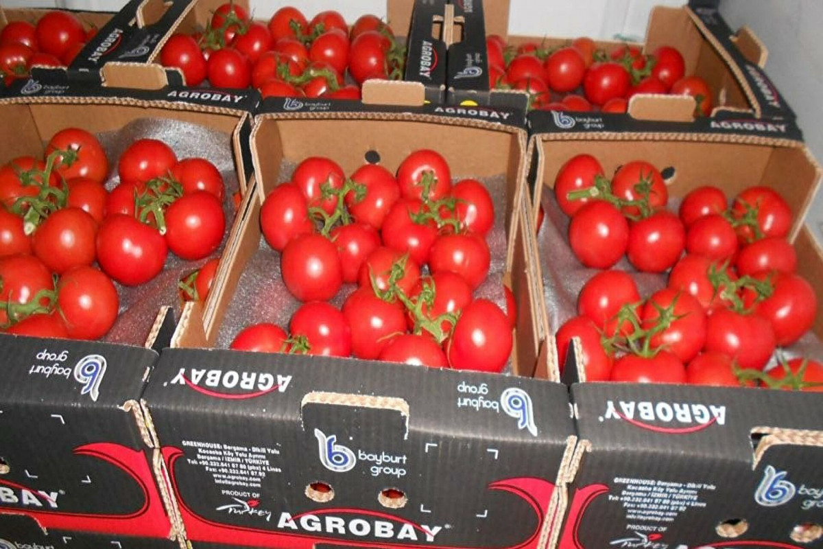 Россия увеличила квоту на ввоз томатов из Турции до 300 тысяч тонн