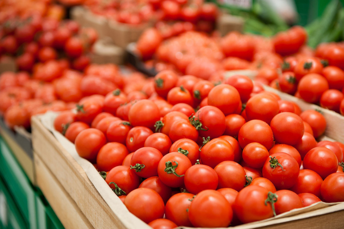 Экспорт помидоров в Россию разрешен с 205 азербайджанских предприятий