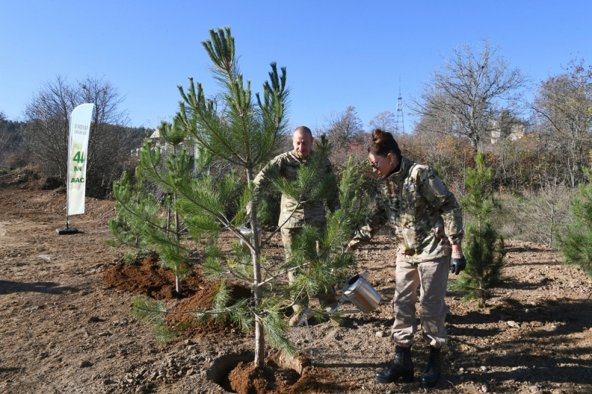 President Ilham Aliyev and First Lady Mehriban Aliyeva plant tree in Jidir Duzu Plain